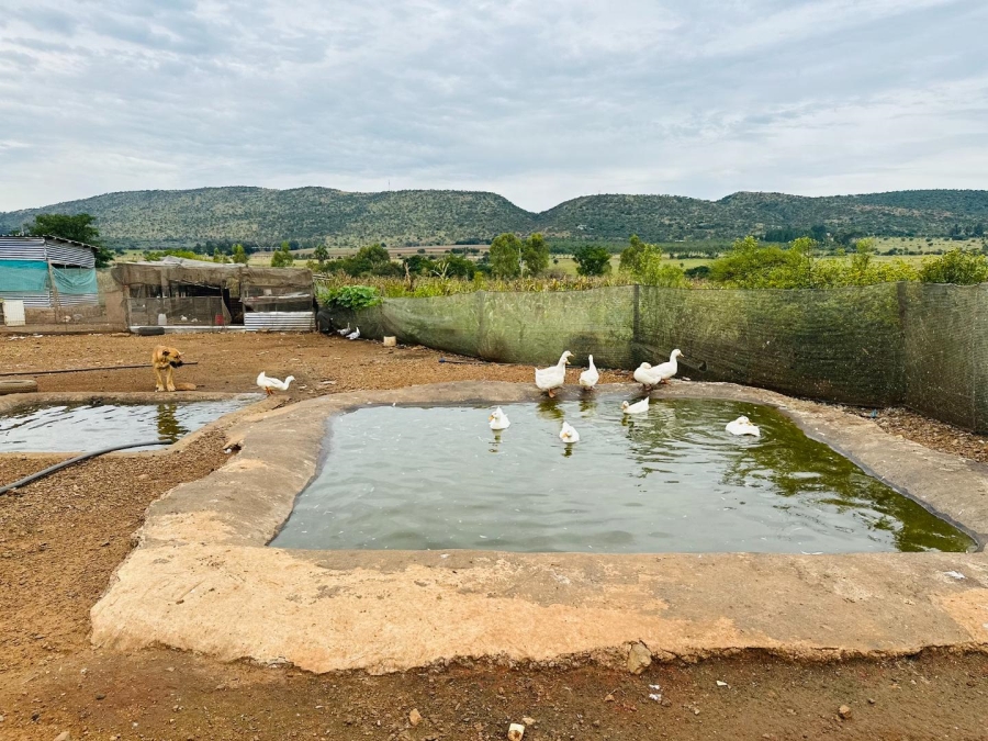 4 Bedroom Property for Sale in Hartbeespoort North West